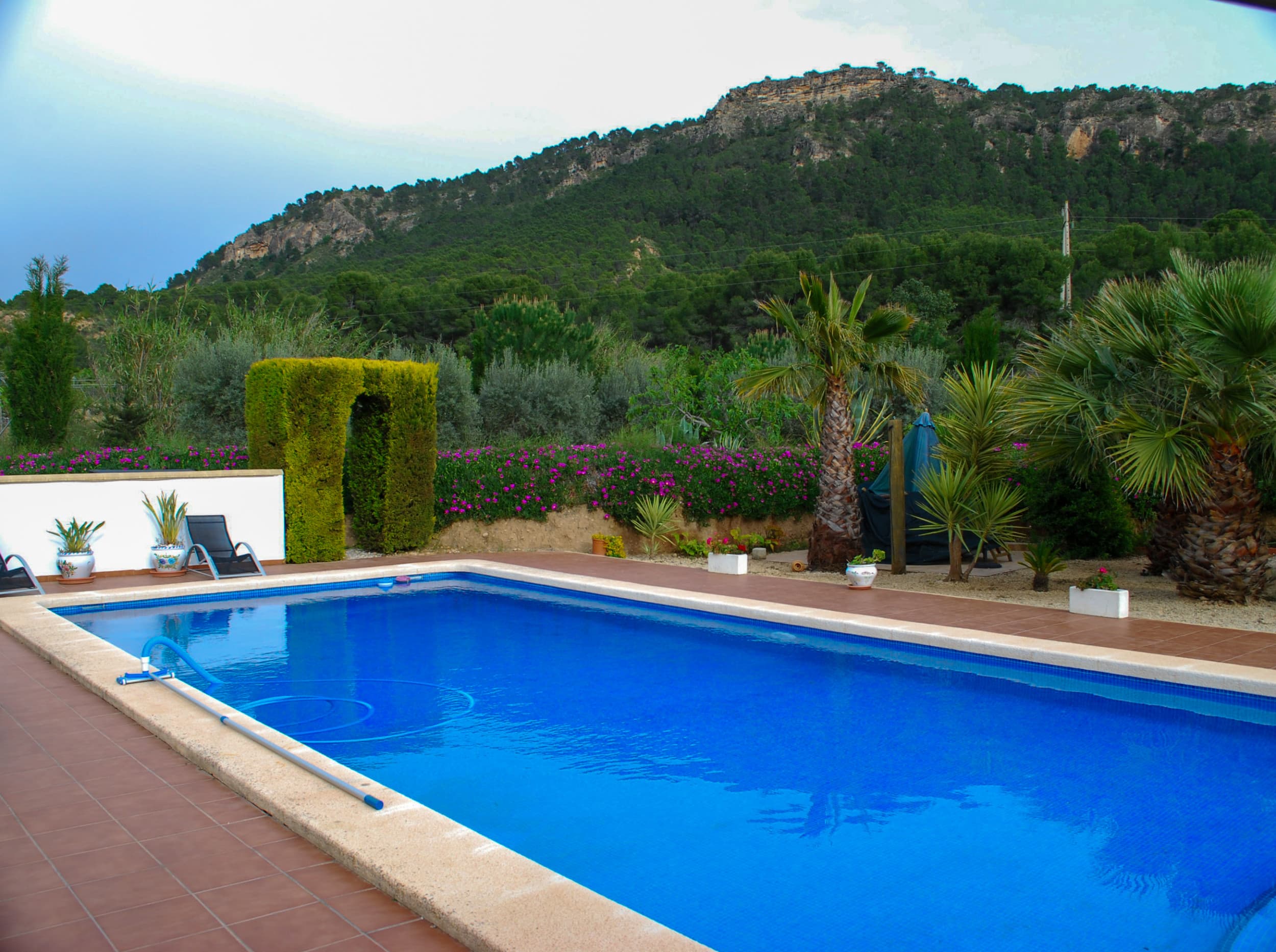 Detached Villa on 5,000m² Plot with Pool, Panoramic Views & Productive Olive Grove in Pliego, Murcia