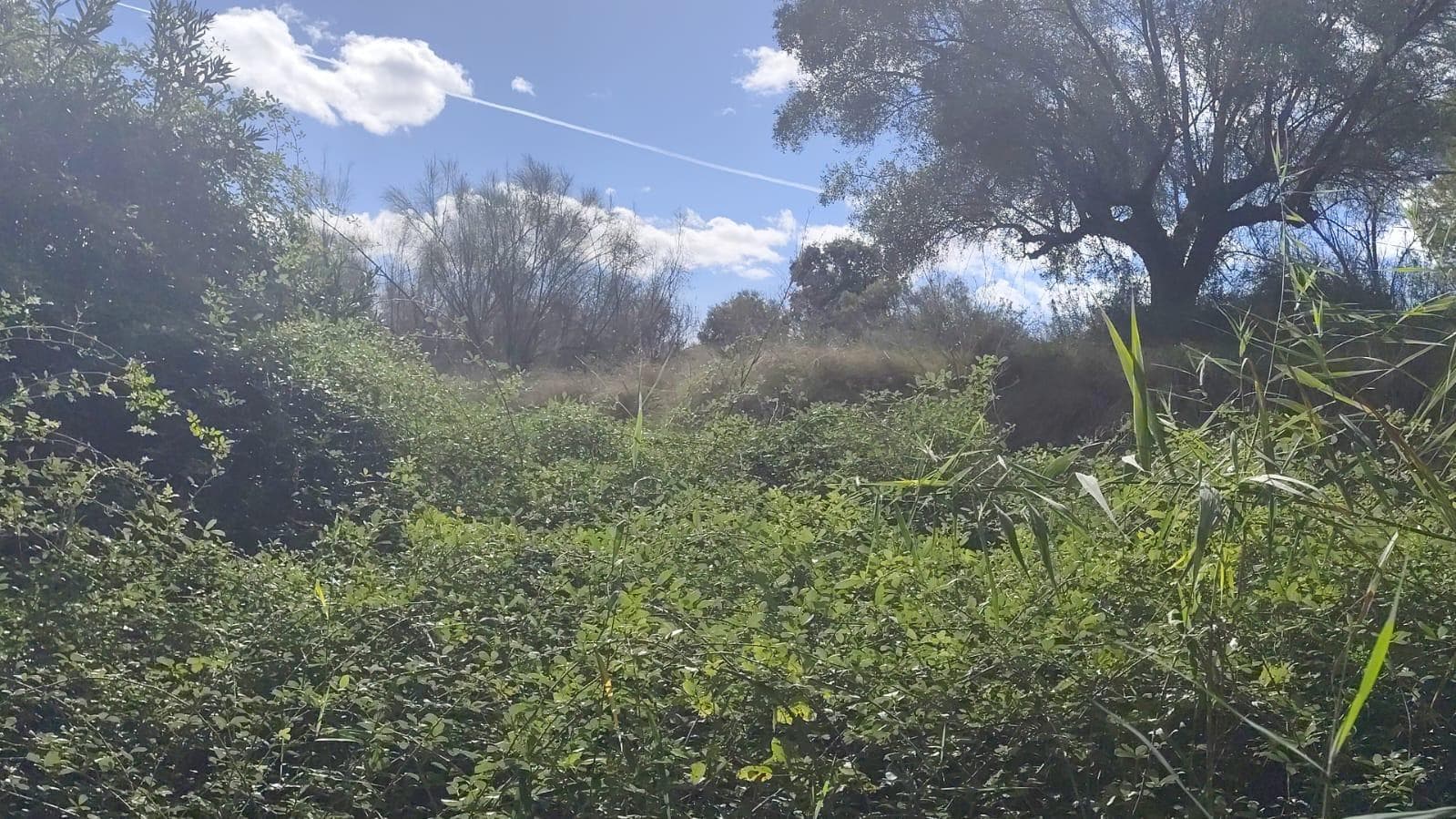 Land in Moratalla, €79.900