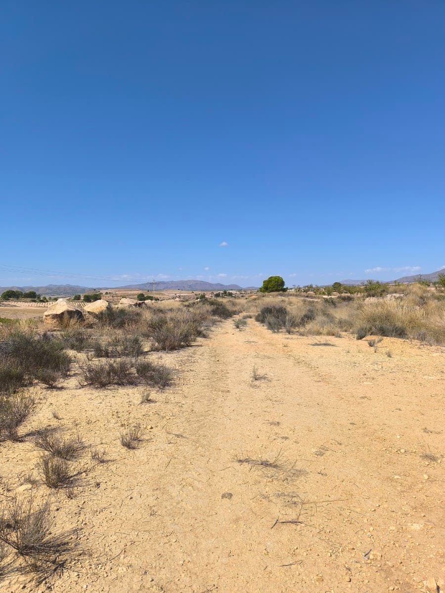 Building plot for sale in the peaceful hamlet of Cañada del Trigo, (Jumilla), surrounded by vineyard
