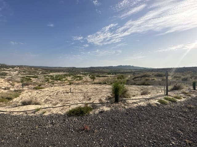 Here we have a plot of land for sale located in San Onofre and El Alcachofar near to Torremendo and