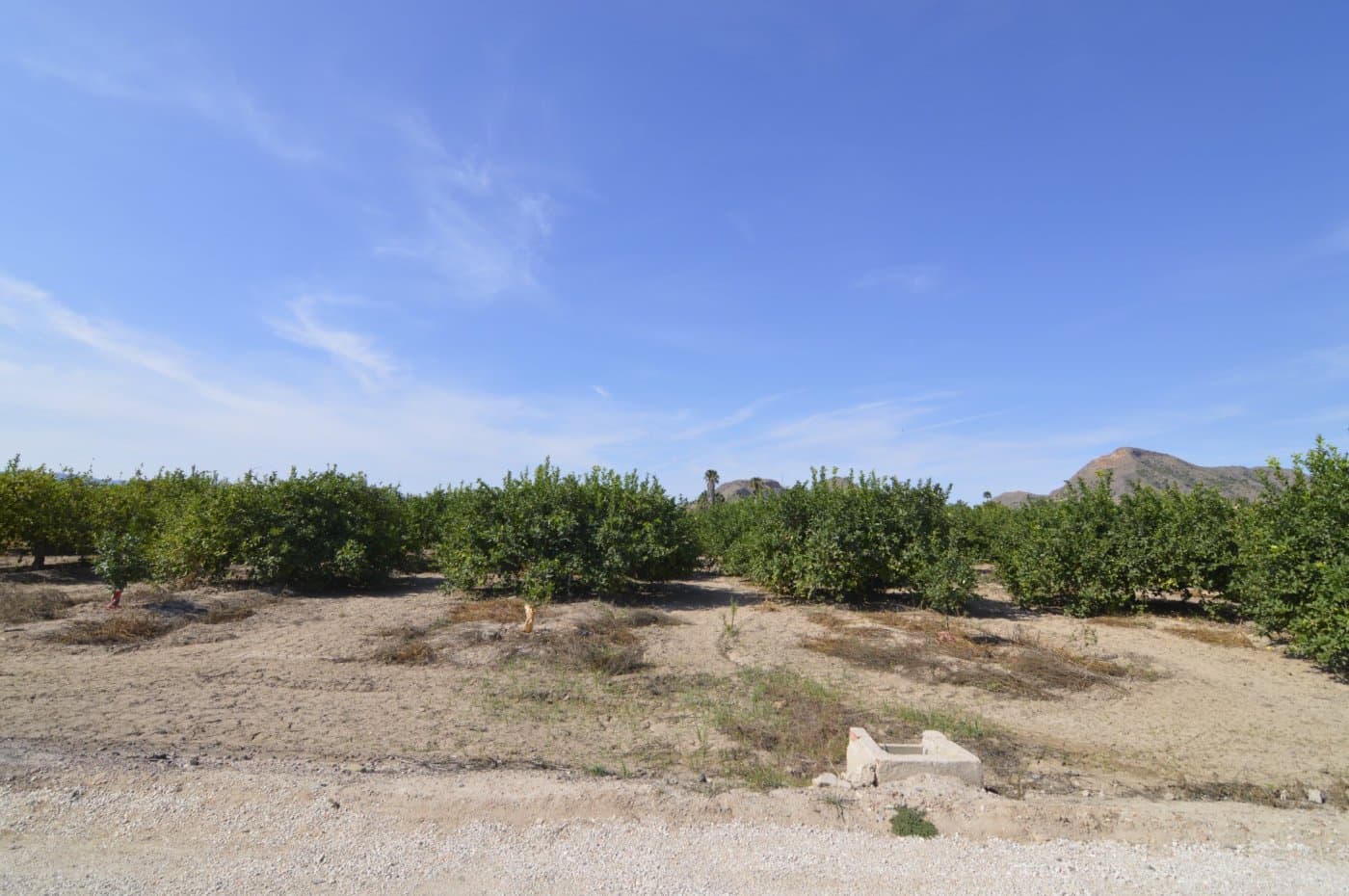 Rustic land of 2,600m2 for sale on the road to Los Cacheros area in Santomera, Murcia