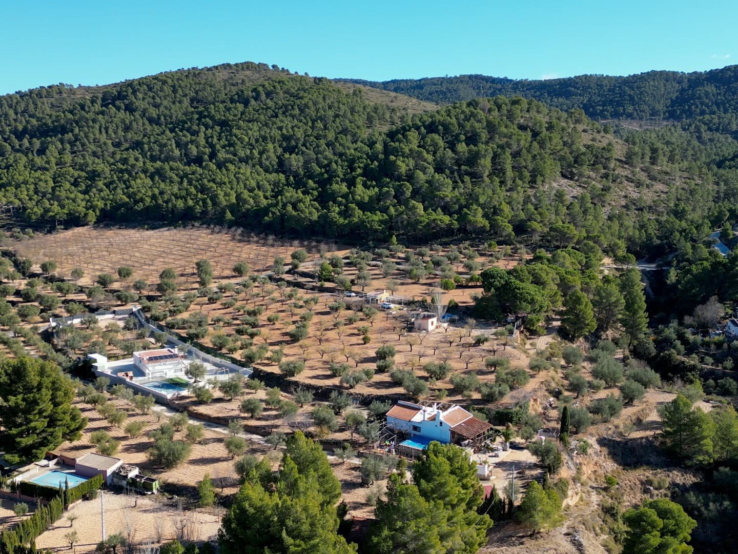 Plot for finca in IbiDiscover your home in the mountains