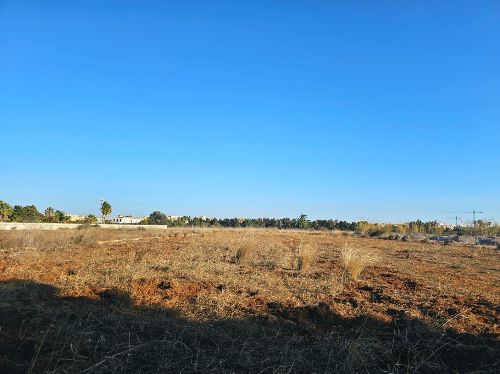 Completely flat plot of rustic land