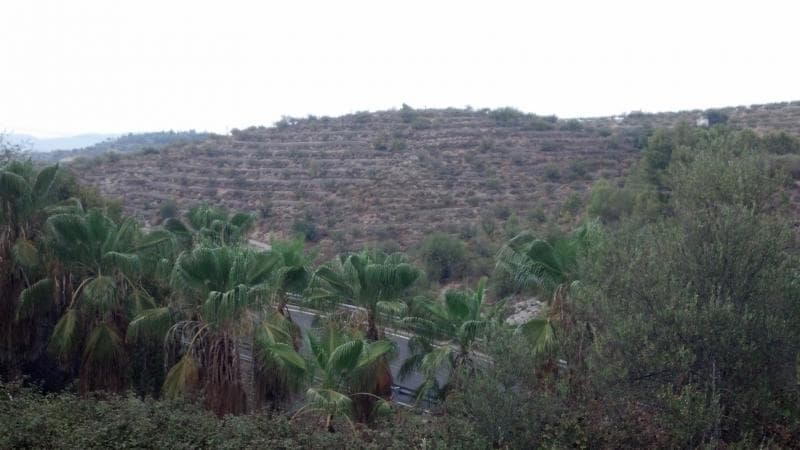 67,500 rustic land in Salem, 20km from Gandia