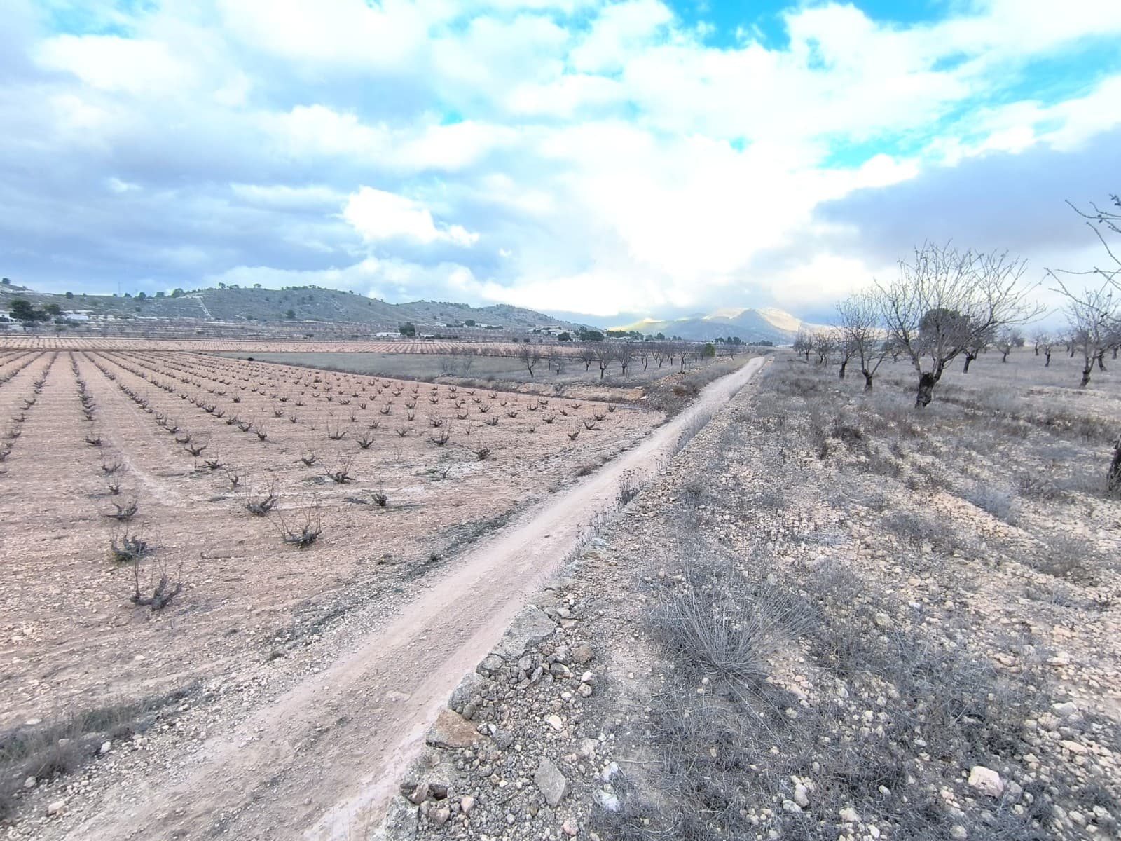 Are you looking for a Legal building plot