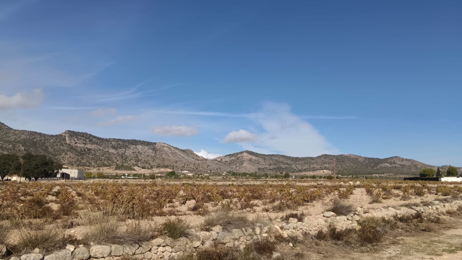 10,000 m² Building Plot for Sale in Salinas, AlicanteThis 10,000 m² plot in Salinas offers an excell