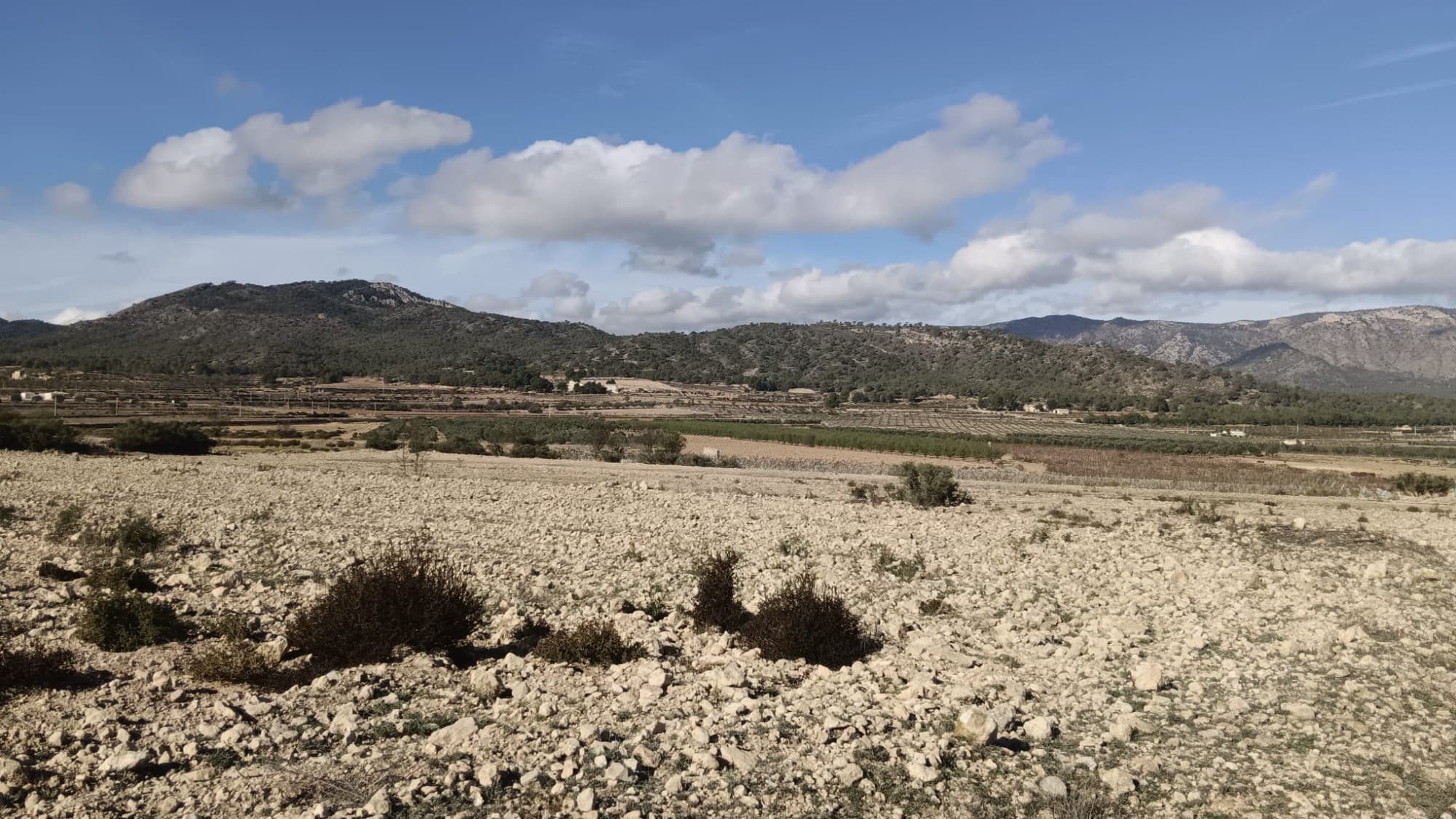 Plot for Sale in Salinas, Alicante10,200 m² of agricultural land available in the peaceful countrysi